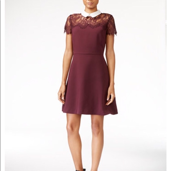 Burgundy collared dress with lace accent - Picture 1 of 4